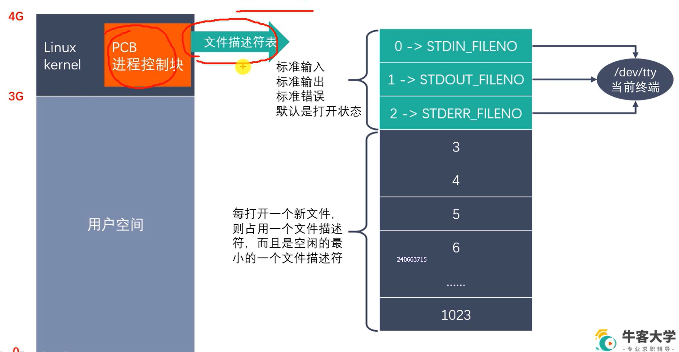 文件描述符在内核中的位置